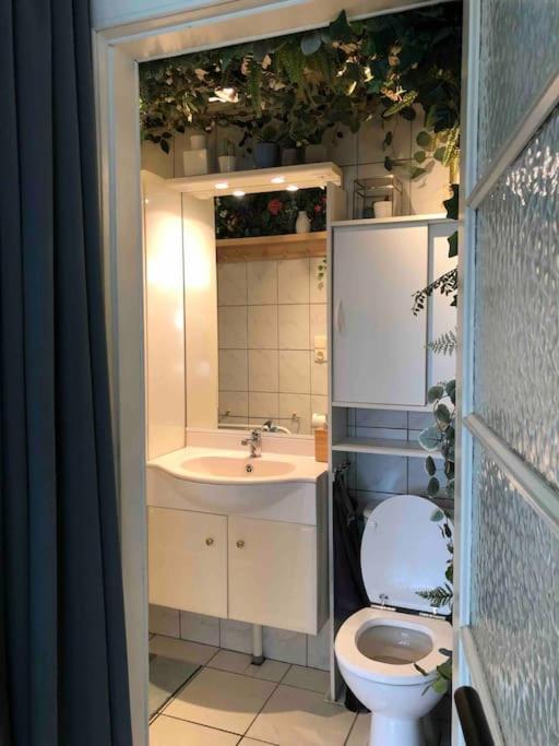 Studio Zeezucht Blankenberge Exteriér fotografie