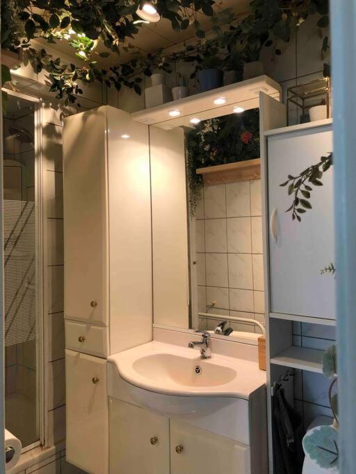 Studio Zeezucht Blankenberge Exteriér fotografie