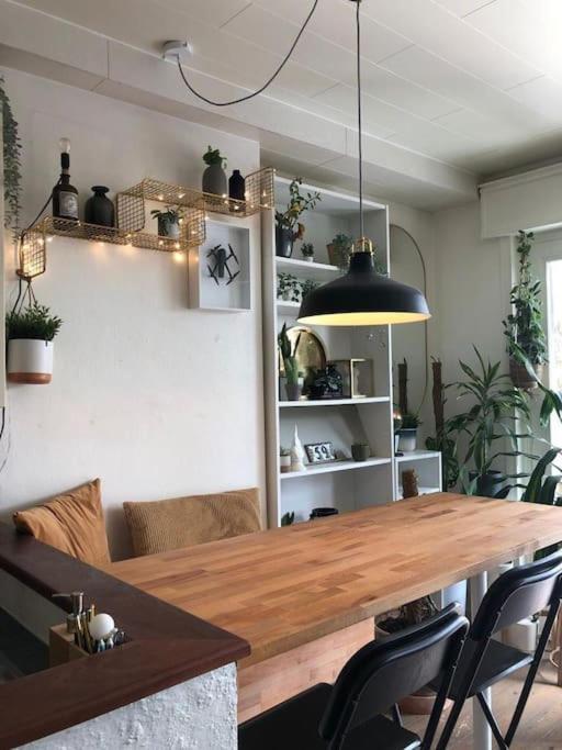 Studio Zeezucht Blankenberge Exteriér fotografie