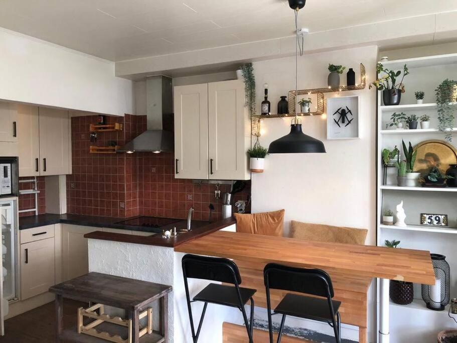 Studio Zeezucht Blankenberge Exteriér fotografie